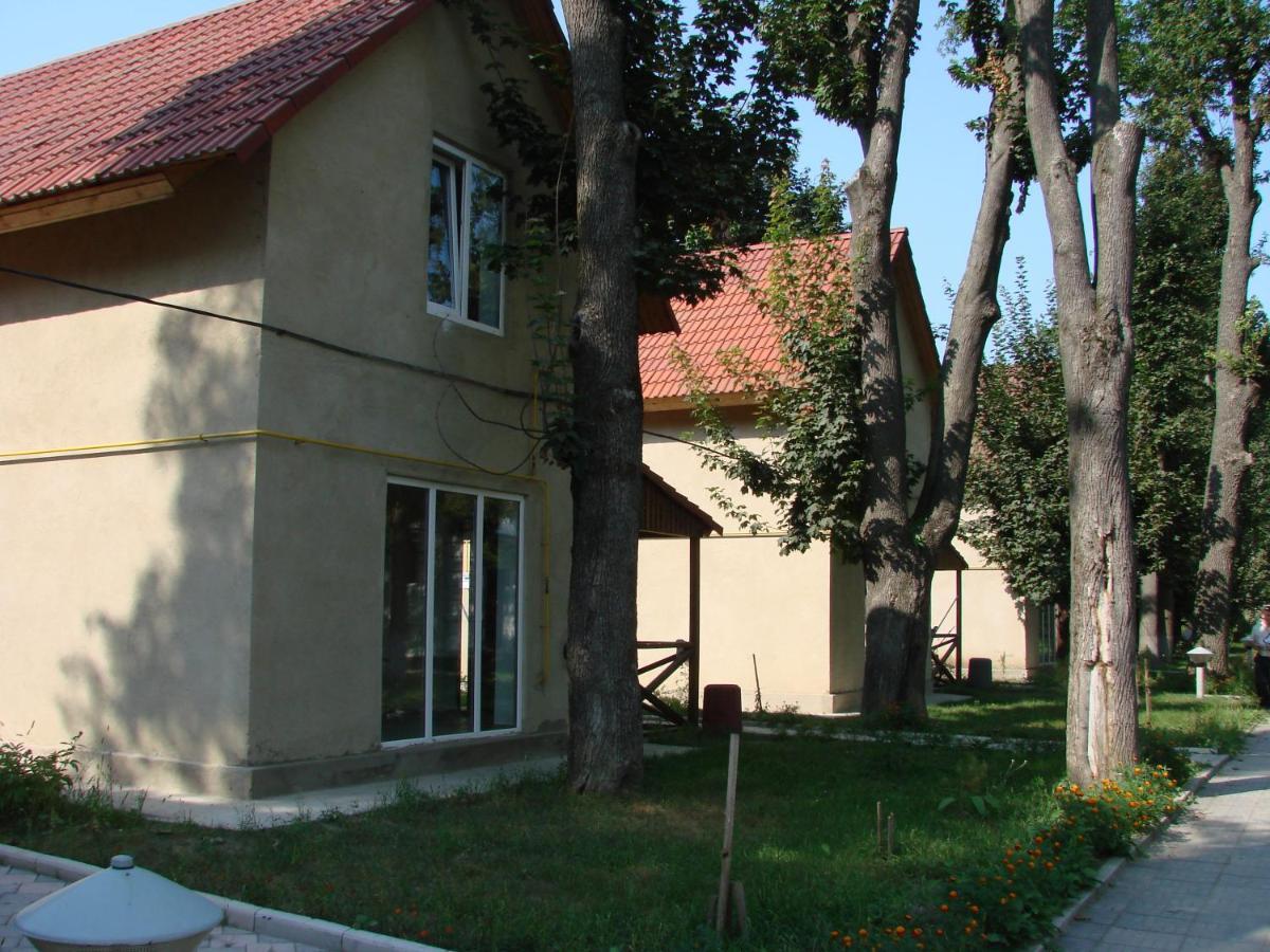 Отель Белый Камень Shevchenkiva Dış mekan fotoğraf